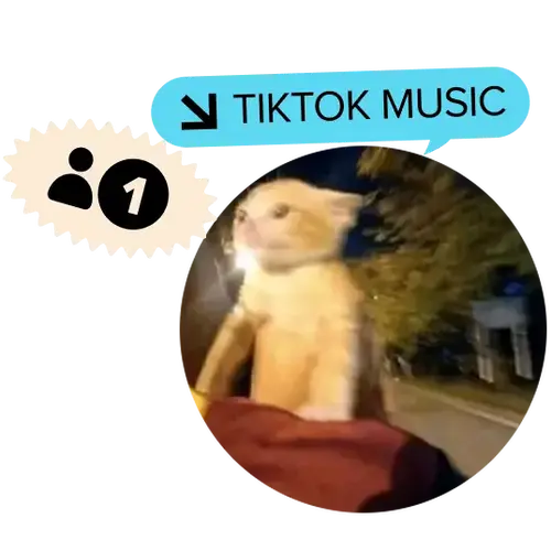 Tiktok song's cover