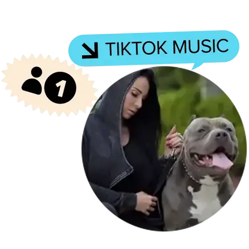 DJ Tiktok's cover