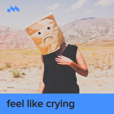 feel like crying's cover