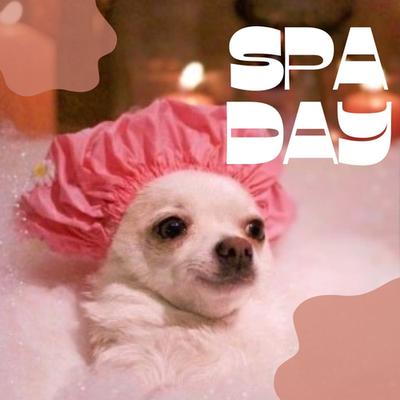 spa day✨'s cover