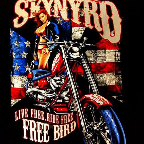 Lynyrd Skynyrd 🎸🤘's cover