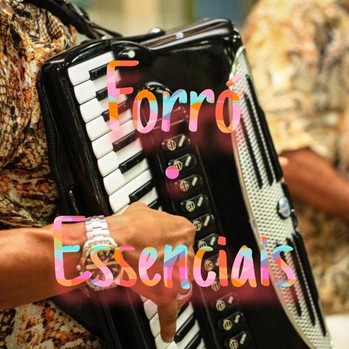Forró - Essenciais's cover