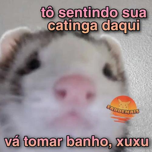 Pra cantar no banho do sábado's cover