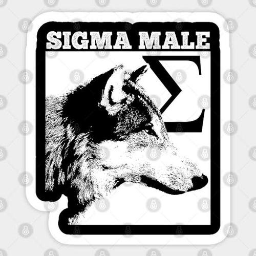 The Sigma Male Brasil 🗿🍷's cover
