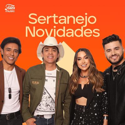 Sertanejo Novidades 2024 🔥 Novas do Sertanejo 2024's cover