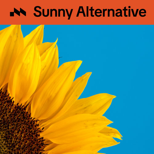 Sunny Alternative's cover