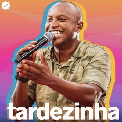 TARDEZINHA 2024 ☀️| tardezinha thiaguinho's cover