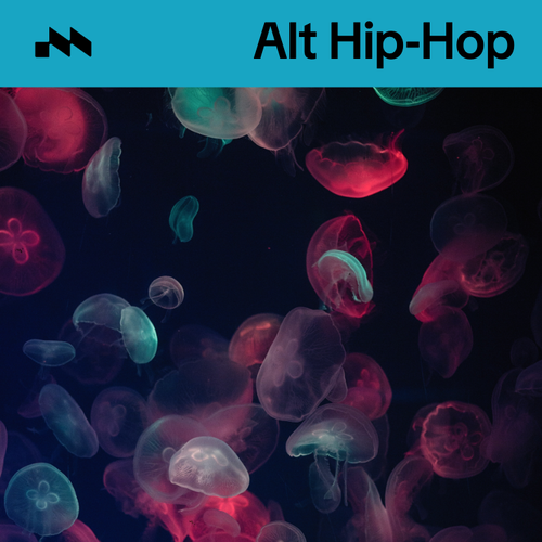 Alt Hip-Hop's cover