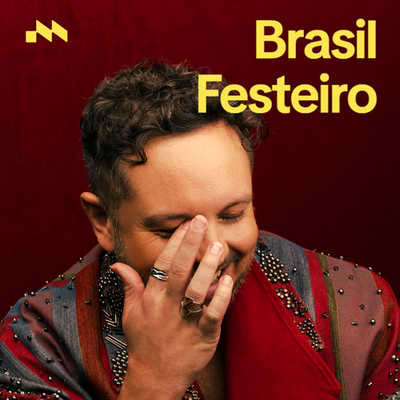 Brasil Festeiro's cover