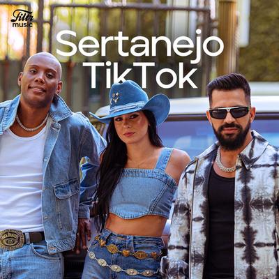 Sertanejo TikTok 2024 🔥 Atualizado!'s cover