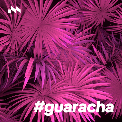 #Guaracha 🪩's cover