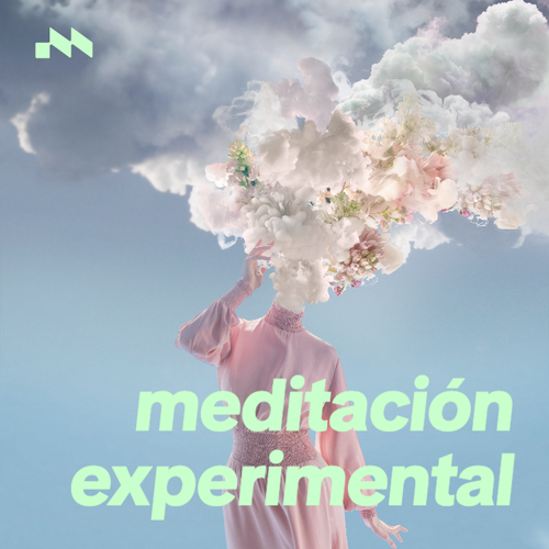 Meditación Experimental's cover