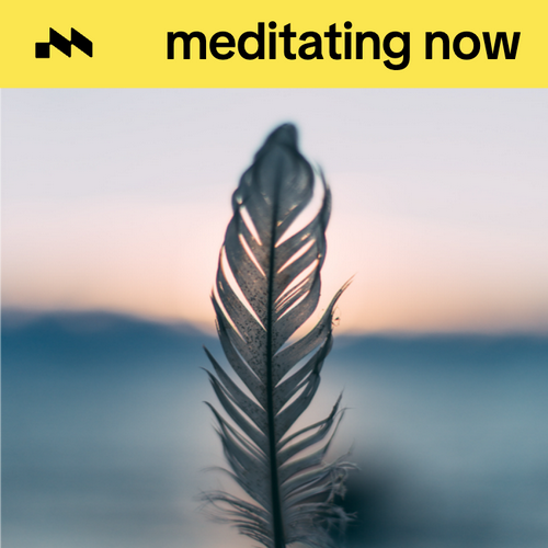 meditating now's cover
