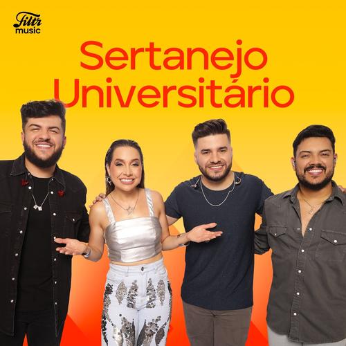 Sertanejo Universitário 2024's cover