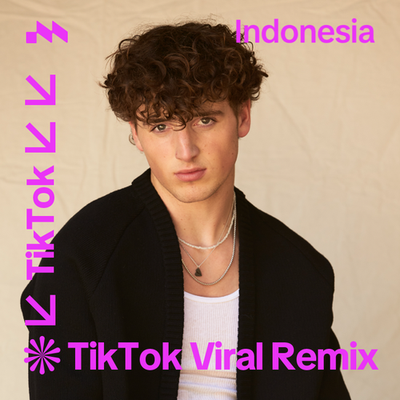 TikTok Viral Remix Indonesia's cover