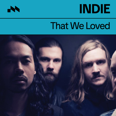 indie that we loved's cover