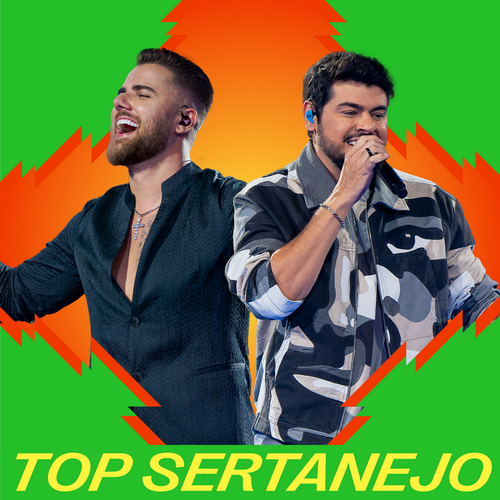 Top Sertanejo Tiktok 2024 | Mais Tocadas's cover