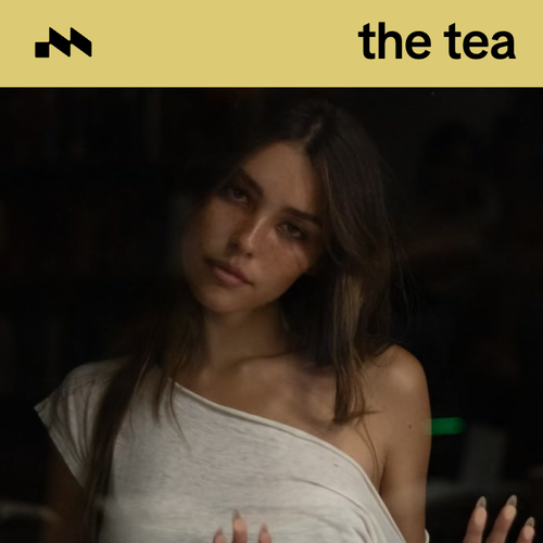 the tea 🍵's cover