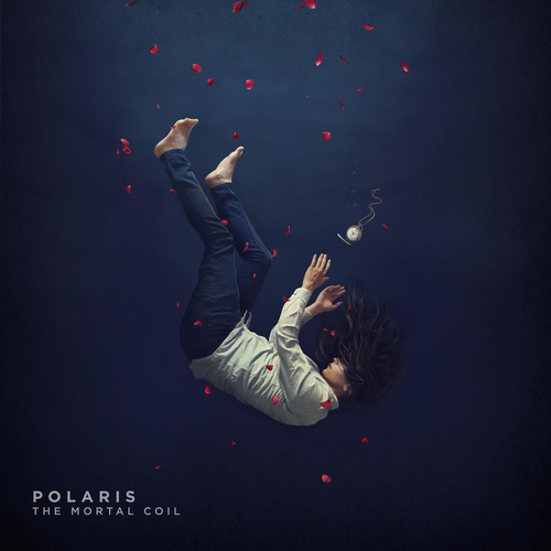 polaris's avatar image