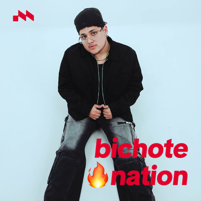 #BichoteNation 🔥's cover