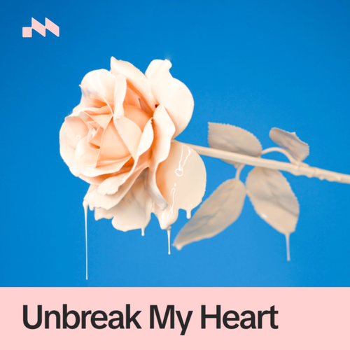 Unbreak My Heart's cover