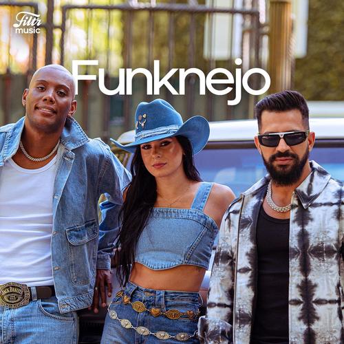 Funknejo 2024 | Funk e Sertanejo's cover