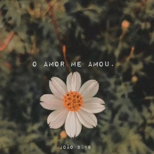 João 3:16's cover