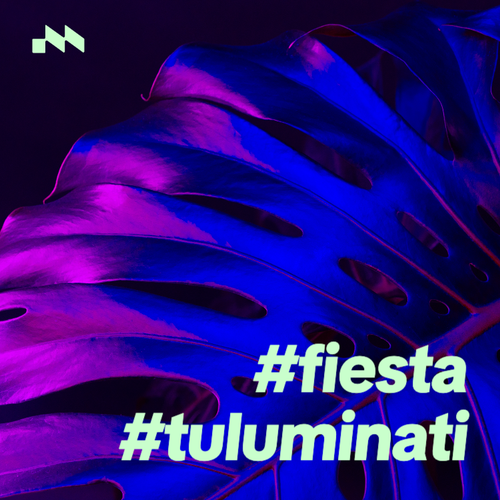 #fiesta #tuluminati 🌴's cover