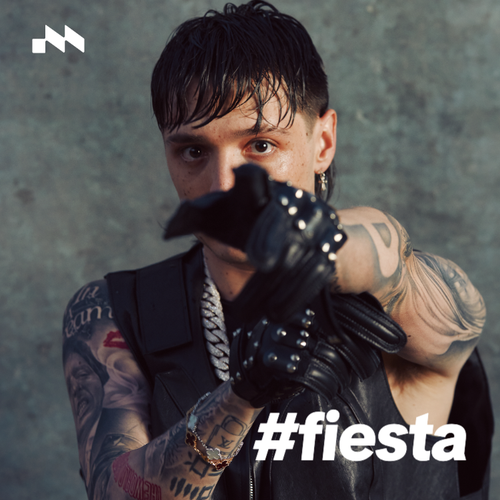 #fiesta's cover