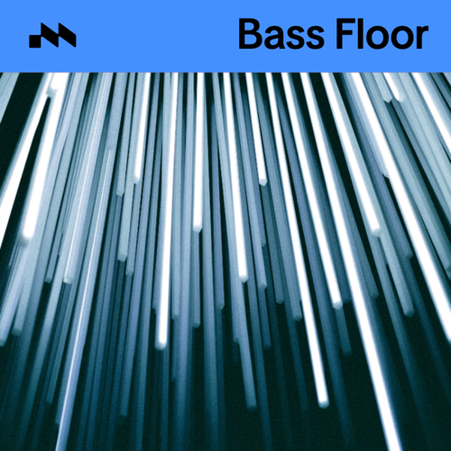 Bass Floor's cover