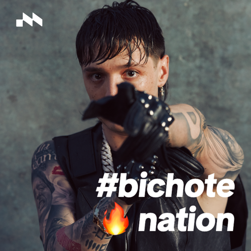 #BichoteNation 🔥's cover