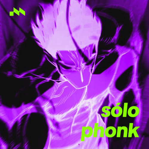 Sólo Phonk 👽's cover