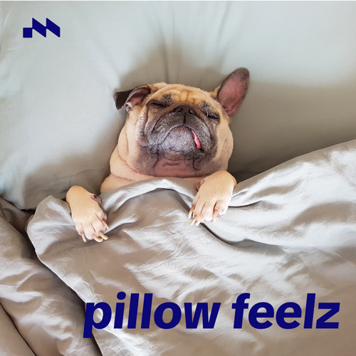pillow feelz's cover