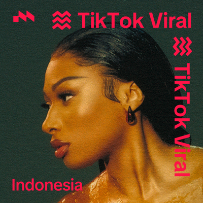 TikTok Viral Indonesia's cover