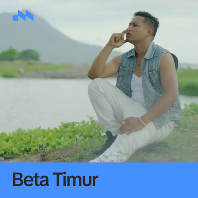 Beta Timur's cover