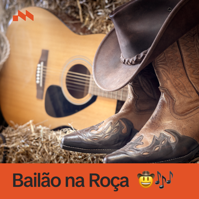 Bailão na Roça's cover