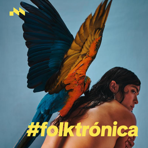 #folktrónica's cover