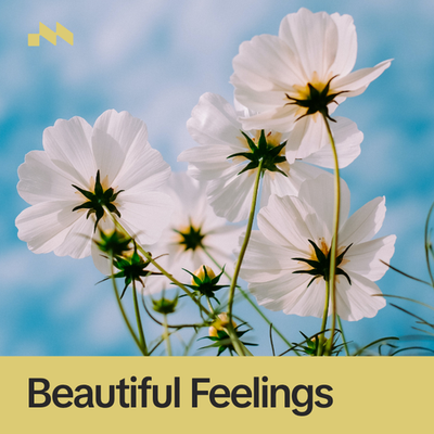 Beautiful Feelings's cover