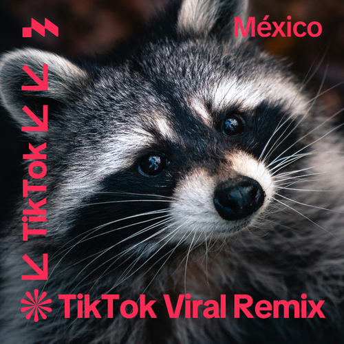 TikTok Viral Remix México's cover
