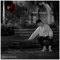 David Kushner's avatar cover