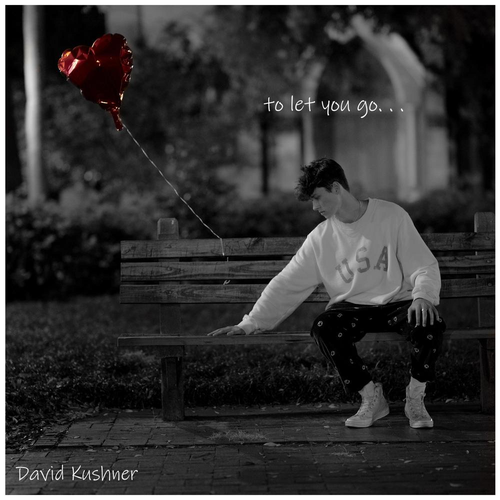 David Kushner's avatar image