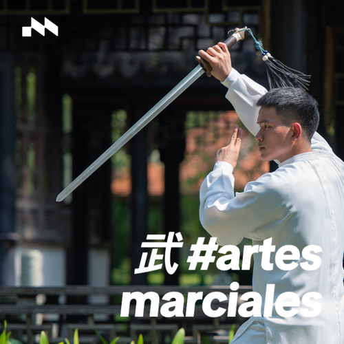 #ArtesMarciales 🏯's cover